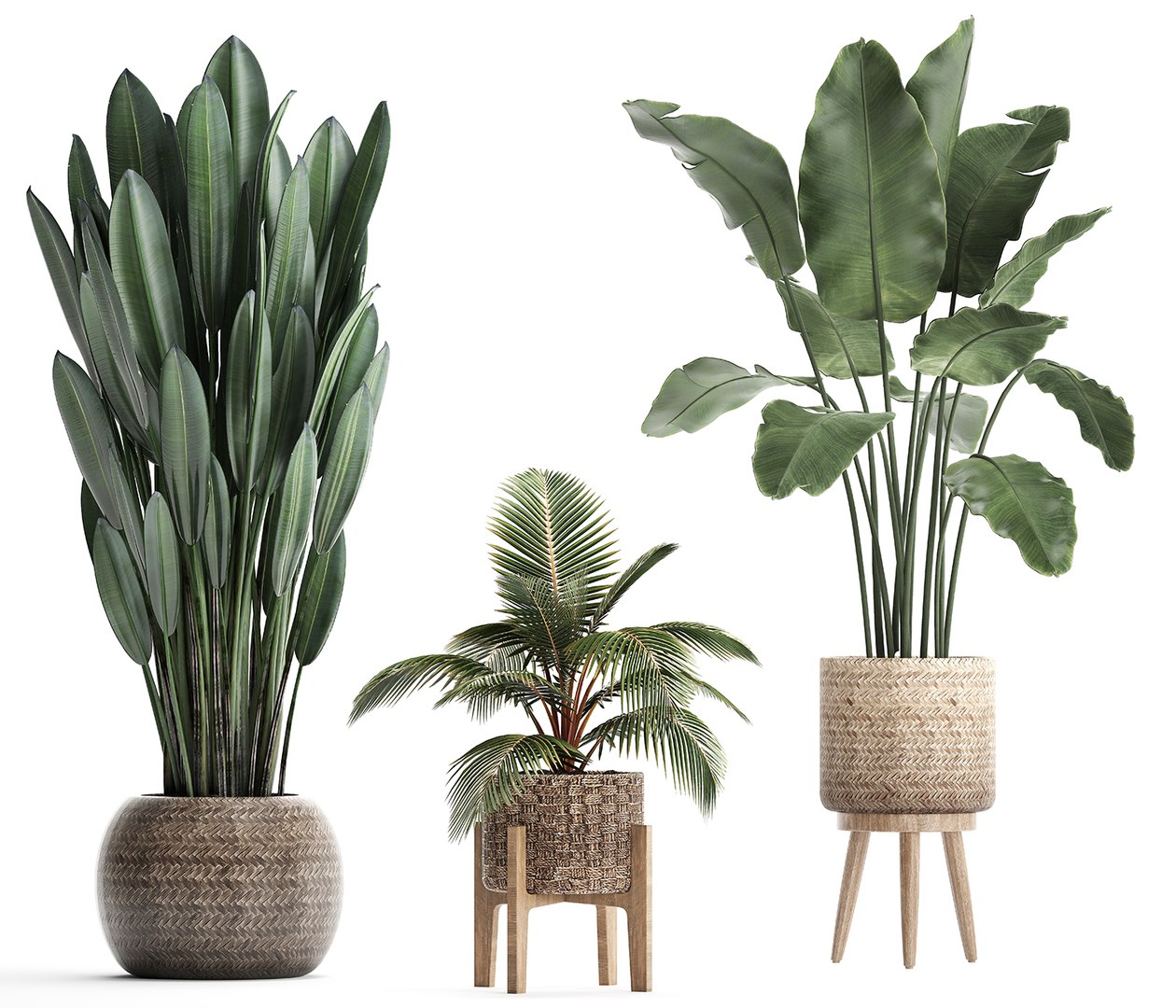 exotic plants 3D model https://p.turbosquid.com/ts-thumb/wj/SUldni/v4WLQf0g/plantsset0711201905/jpg/1573220472/1920x1080/fit_q87/a5fc66015c4e9d0bad07888c1d3db88830bd4771/plantsset0711201905.jpg