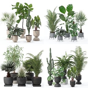 20 Modern Houseplants Megapack Monstera Palms Cactus Ficus Set