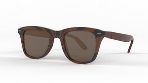 Classic Polarized Sunglasses 3D model