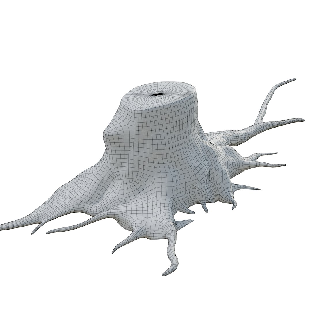 pbr rig root 3D https://p.turbosquid.com/ts-thumb/wj/kABvqo/6qvk1Y5C/wri_03/png/1562551365/1920x1080/fit_q87/6319953109bd2762d33e328a5ae8a9ea7b0e71ec/wri_03.jpg