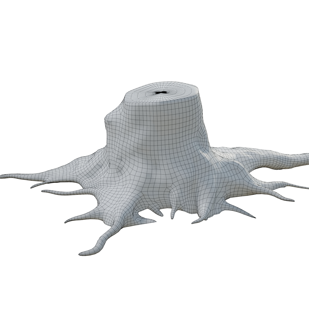 pbr rig root 3D https://p.turbosquid.com/ts-thumb/wj/kABvqo/ACbvrOGV/wri/png/1562549240/1920x1080/turn_fit_q99/768c1db61342c7800a54979d08c15a03c2e2a6ab/wri-1.jpg