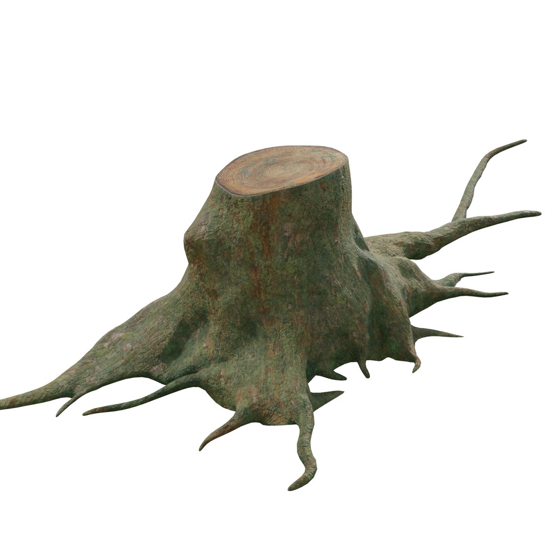pbr rig root 3D https://p.turbosquid.com/ts-thumb/wj/kABvqo/B1ZGTZt8/col_03/png/1562551302/1920x1080/fit_q87/96e4a2b12774623cf4d92ef7e863eb58a78e612d/col_03.jpg