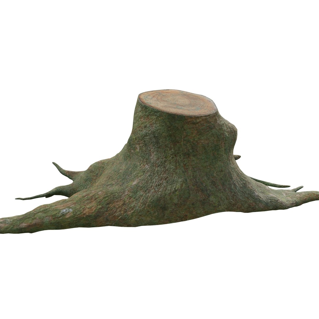 pbr rig root 3D https://p.turbosquid.com/ts-thumb/wj/kABvqo/BQXsPBsG/col_13/png/1562551302/1920x1080/fit_q87/04ee49961446b5347e9d5b864fb828af9bede3cb/col_13.jpg