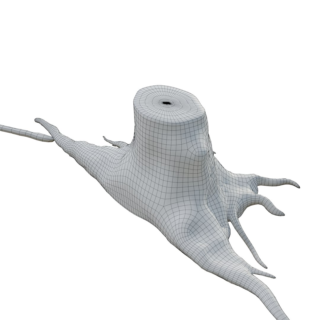 pbr rig root 3D https://p.turbosquid.com/ts-thumb/wj/kABvqo/ETu5PxmX/wri_09/png/1562551365/1920x1080/fit_q87/1f61d2f2455a882fcd165aecb322433b938f75e8/wri_09.jpg