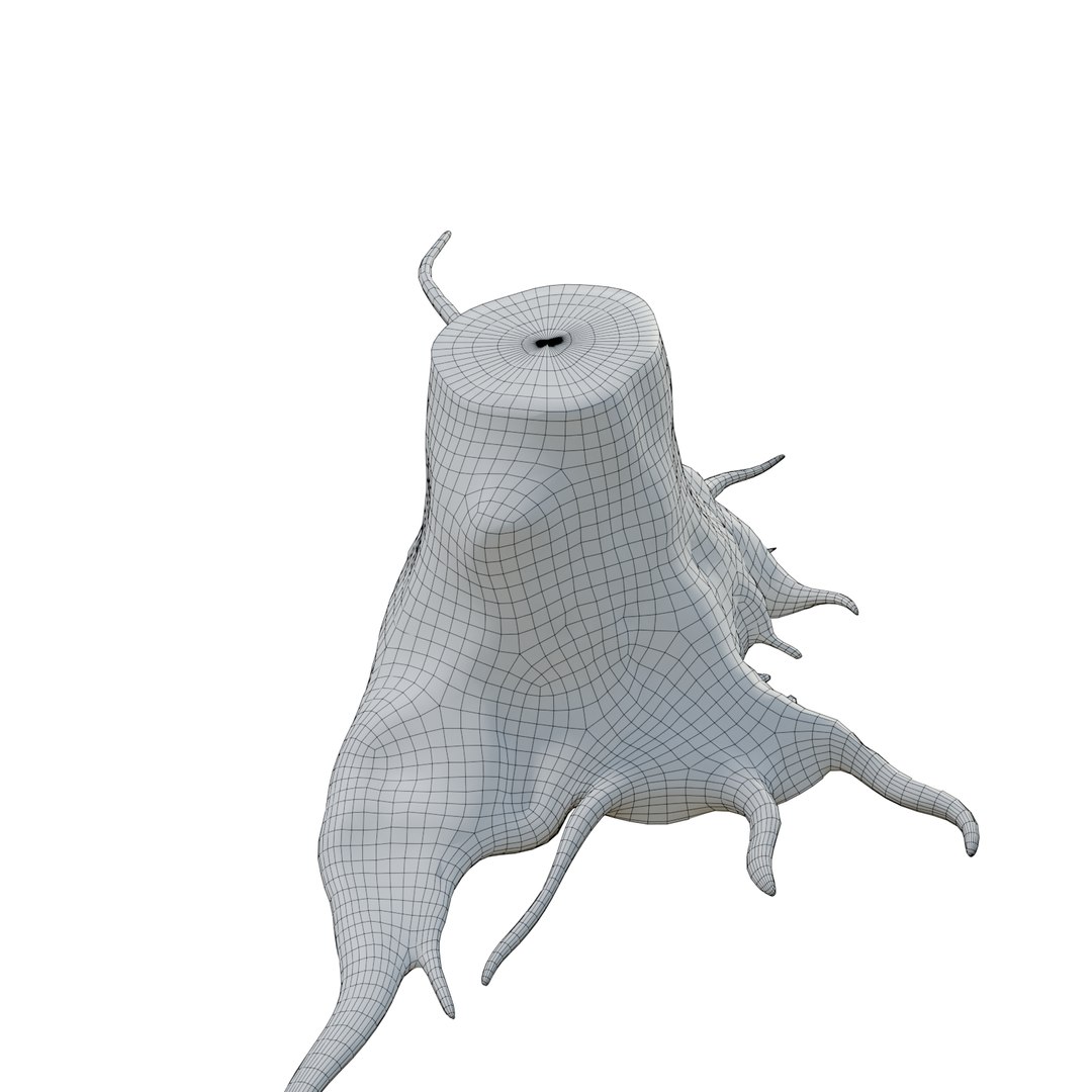 pbr rig root 3D https://p.turbosquid.com/ts-thumb/wj/kABvqo/LthsqUUF/wri_06/png/1562551365/1920x1080/fit_q87/9c1007b4f5f881418d6768e3367abb31d6cb4f18/wri_06.jpg
