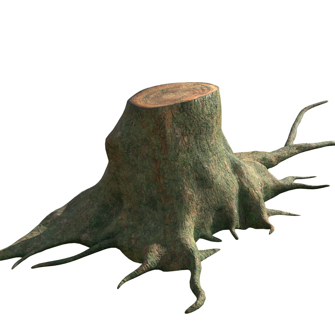 pbr rig root 3D https://p.turbosquid.com/ts-thumb/wj/kABvqo/PhyIilR1/ren001/png/1562551631/1920x1080/fit_q87/8d73f8cc66d2342cd3a55b988e747b15689b5966/ren001.jpg