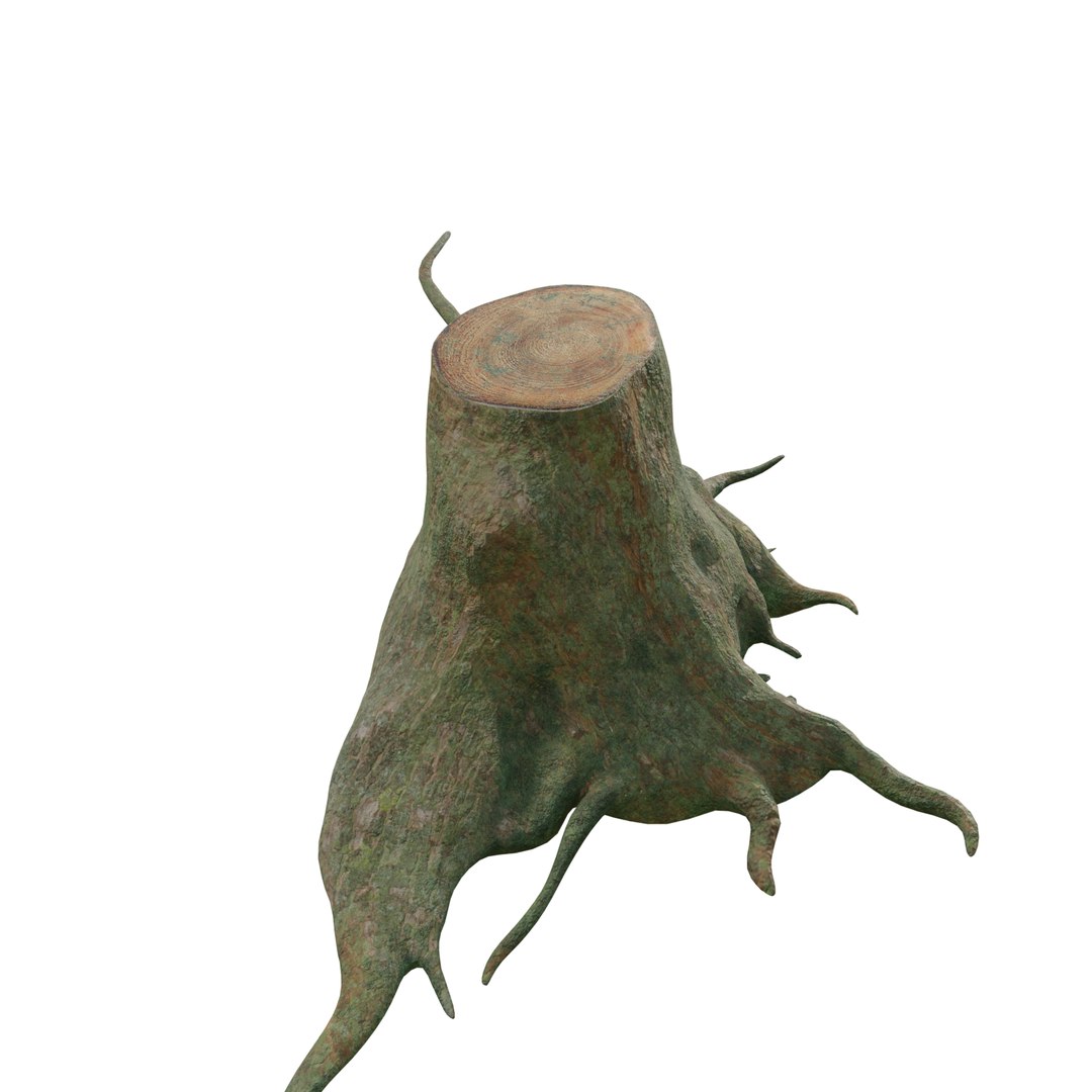 pbr rig root 3D https://p.turbosquid.com/ts-thumb/wj/kABvqo/RQ5qSJLW/col_06/png/1562551302/1920x1080/fit_q87/57ea9c4b2e5fe4b7594efda85df5c6ee067d771a/col_06.jpg