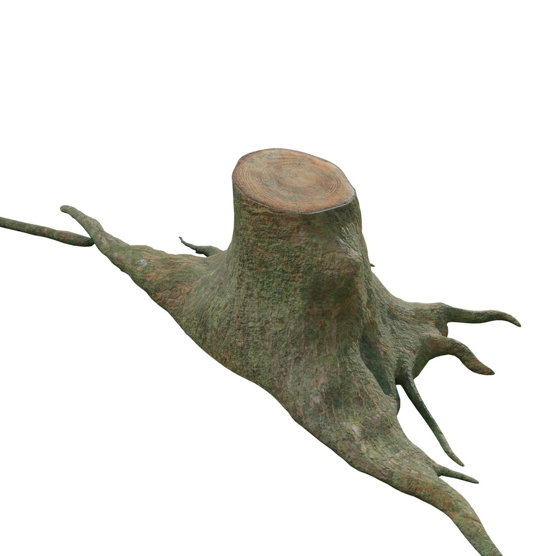 pbr rig root 3D https://p.turbosquid.com/ts-thumb/wj/kABvqo/ZvBaICd2/col_09/png/1562551302/1920x1080/fit_q87/cef35ac99ab2dfb5e1d03df7d1d778fbc7711f12/col_09.jpg