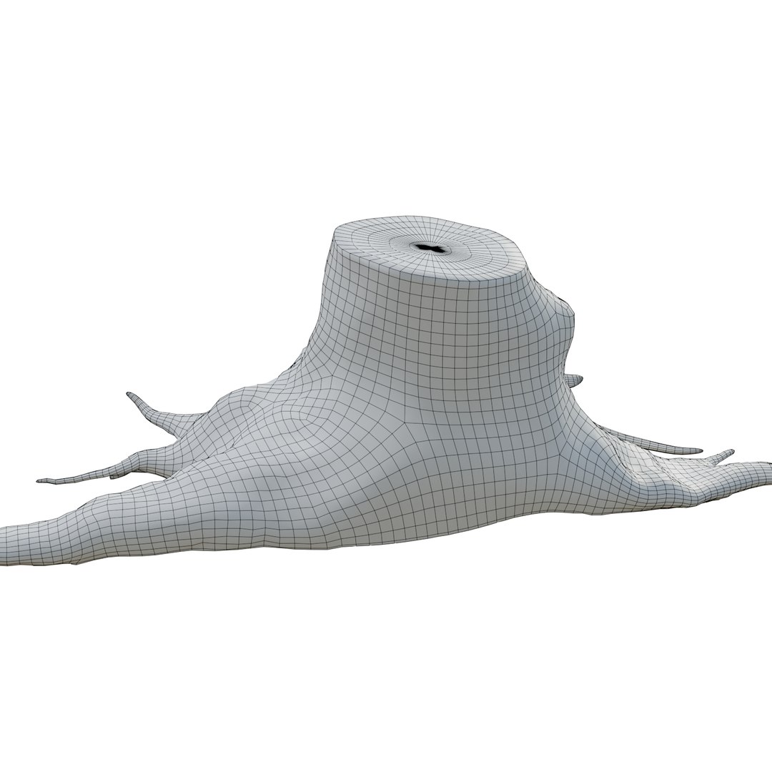 pbr rig root 3D https://p.turbosquid.com/ts-thumb/wj/kABvqo/ps7oG5R9/wri_13/png/1562551365/1920x1080/fit_q87/449f8039844ac8e72fb345f99815ce7def4e120e/wri_13.jpg