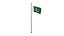 Pole Flag Pakistan