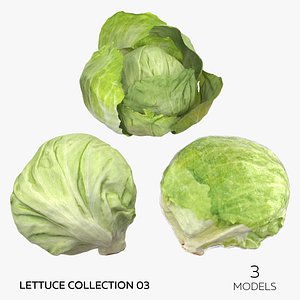 Lettuce Collection 03 - 3 models 3D