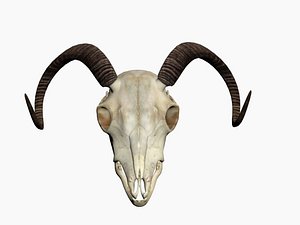 RamSkull