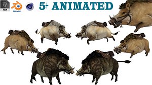 boar rigged animations fbx