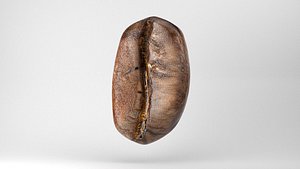 3D Roasted Coffee Bean