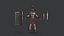 ROMAN legion