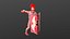 ROMAN legion