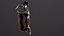 ROMAN legion