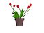 FIORE
