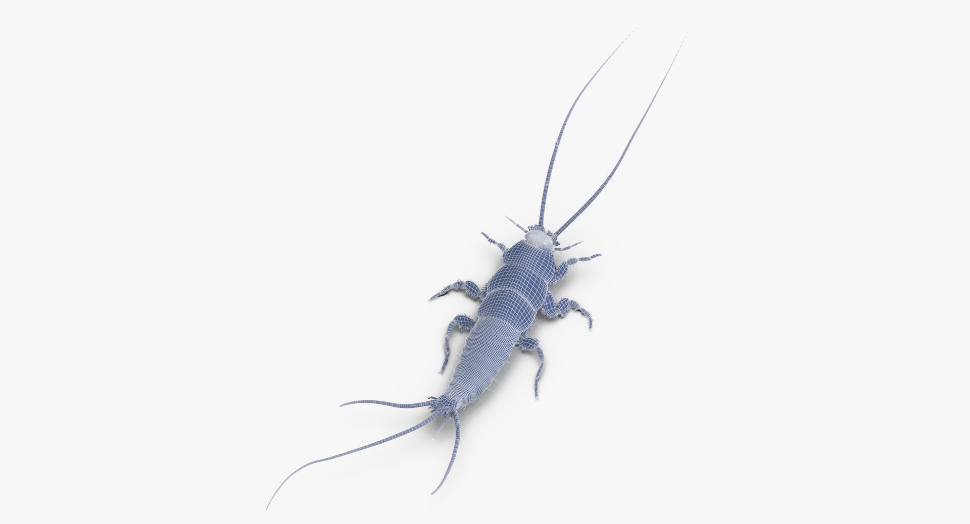3D Silverfish Rigged - TurboSquid 1375576