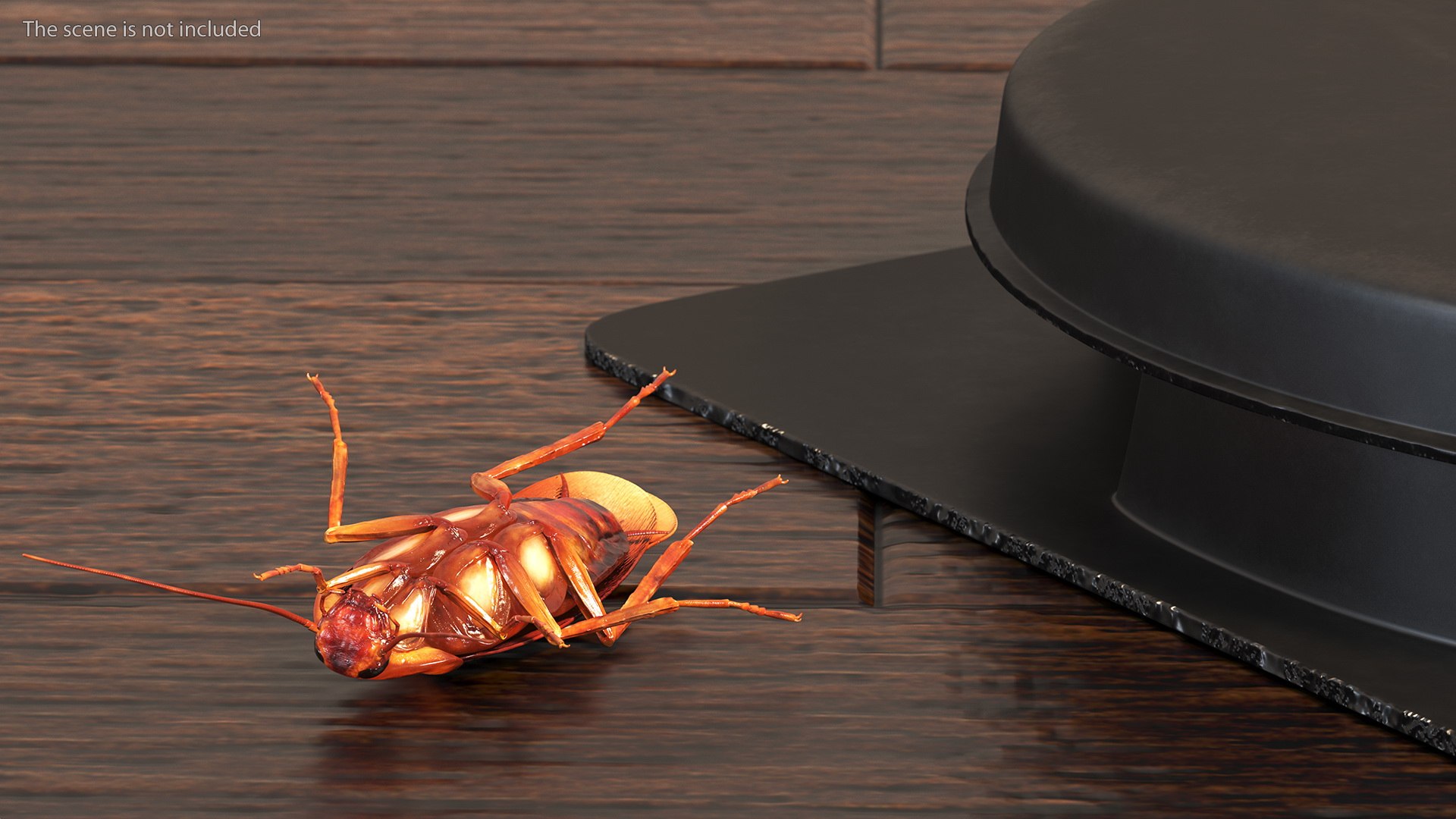 Bait Station With Cockroaches 3D - TurboSquid 1874700