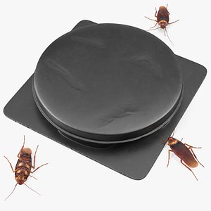 Bait Station With Cockroaches 3D