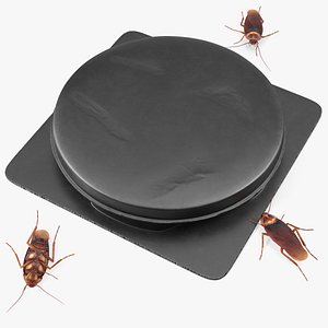 Bait Station With Cockroaches