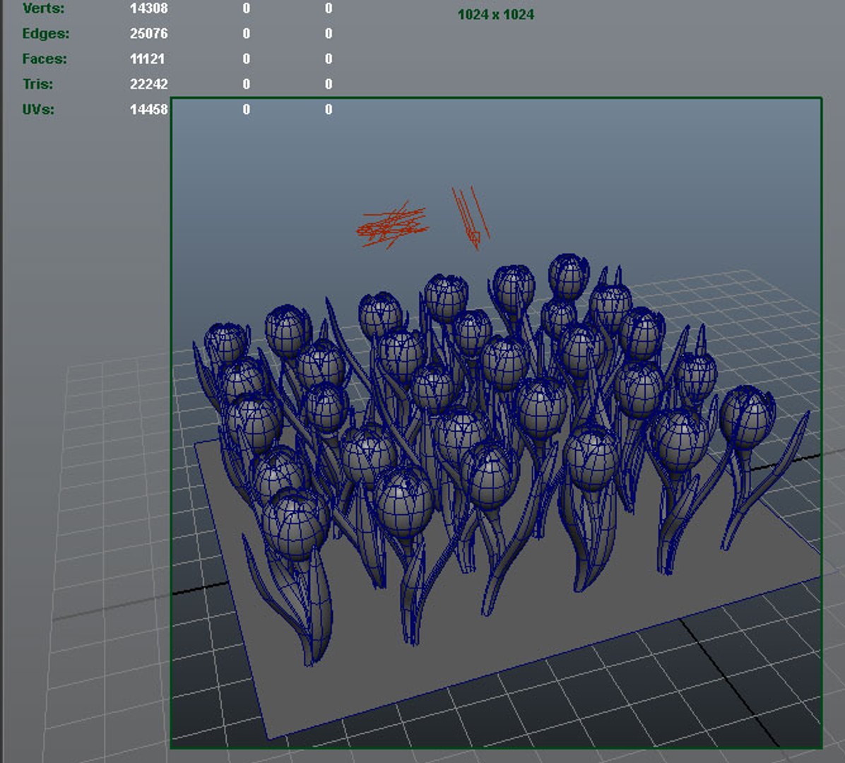 3d tulip flower