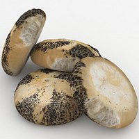 Vienna Kaiser Bread Roll Bun (2)