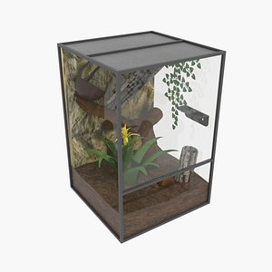 Terrrarium 30x30x45cm decorated