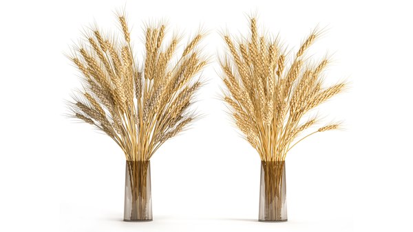 Modello 3D Mazzo decorativo di spighe di grano in vaso per