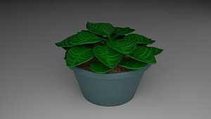 3D model Flower in a pot
