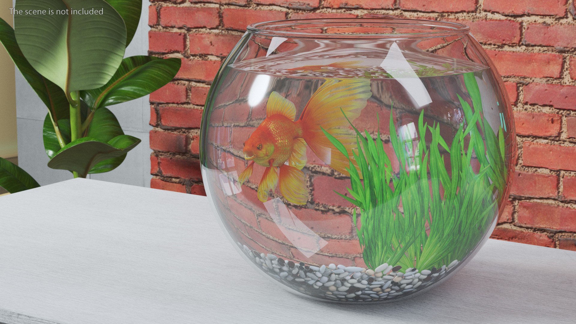 Round Aquariums with Fishes Collection 3D model https://p.turbosquid.com/ts-thumb/wl/FdCLDr/2m/roundaquariumswithfishescollectionmb3dmodel019/jpg/1699833887/1920x1080/fit_q87/87c3bad55ef8e6f5f766473923aa8c2eba3d1547/roundaquariumswithfishescollectionmb3dmodel019.jpg