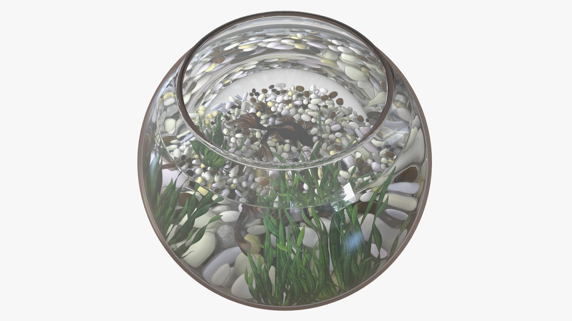 Round Aquariums with Fishes Collection 3D model https://p.turbosquid.com/ts-thumb/wl/FdCLDr/50/roundaquariumswithfishescollectionmb3dmodel042/jpg/1699833980/1920x1080/fit_q87/422c95704acfe5d6c528d3256687e70c814bc4e7/roundaquariumswithfishescollectionmb3dmodel042.jpg