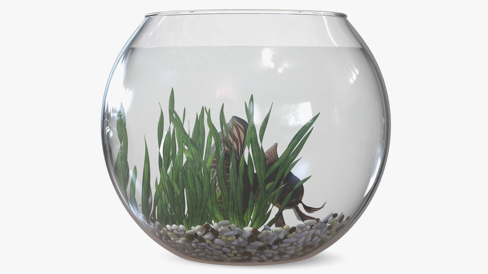 Round Aquariums with Fishes Collection 3D model https://p.turbosquid.com/ts-thumb/wl/FdCLDr/7n/roundaquariumswithfishescollectionmb3dmodel041/jpg/1699833975/1920x1080/fit_q87/2218d22ca47835939ba35d146b033cdf282c6d8b/roundaquariumswithfishescollectionmb3dmodel041.jpg