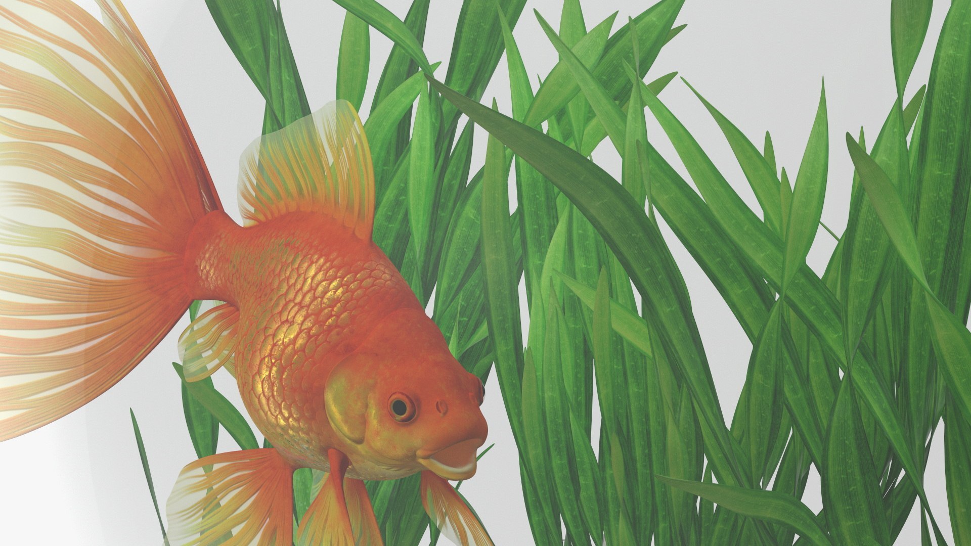 Round Aquariums with Fishes Collection 3D model https://p.turbosquid.com/ts-thumb/wl/FdCLDr/8f/roundaquariumswithfishescollectionmb3dmodel028/jpg/1699833924/1920x1080/fit_q87/e1ebc84d6dc56533f56528cd26e1fe6f00130361/roundaquariumswithfishescollectionmb3dmodel028.jpg