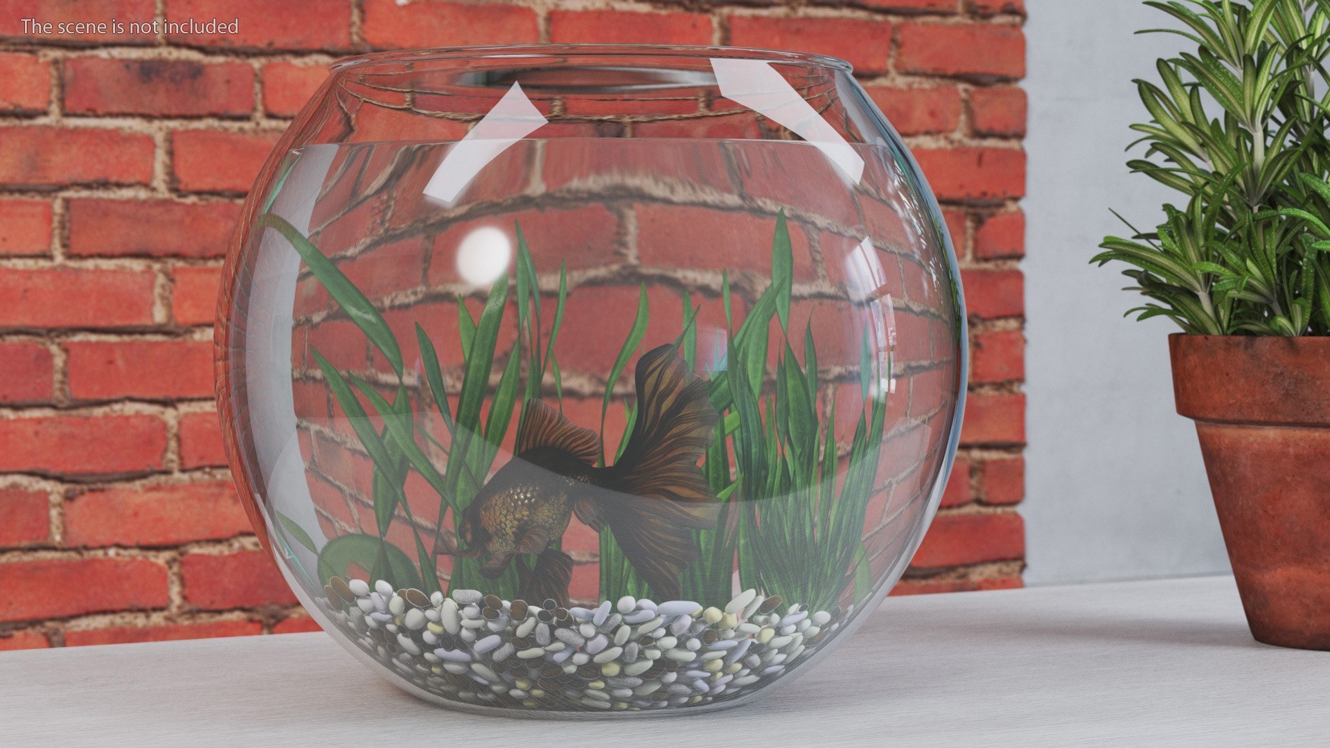 Round Aquariums with Fishes Collection 3D model https://p.turbosquid.com/ts-thumb/wl/FdCLDr/96/roundaquariumswithfishescollectionmb3dmodel034/jpg/1699833948/1920x1080/fit_q87/01c5d6277435882147593e9fafcb1d9810e0956d/roundaquariumswithfishescollectionmb3dmodel034.jpg