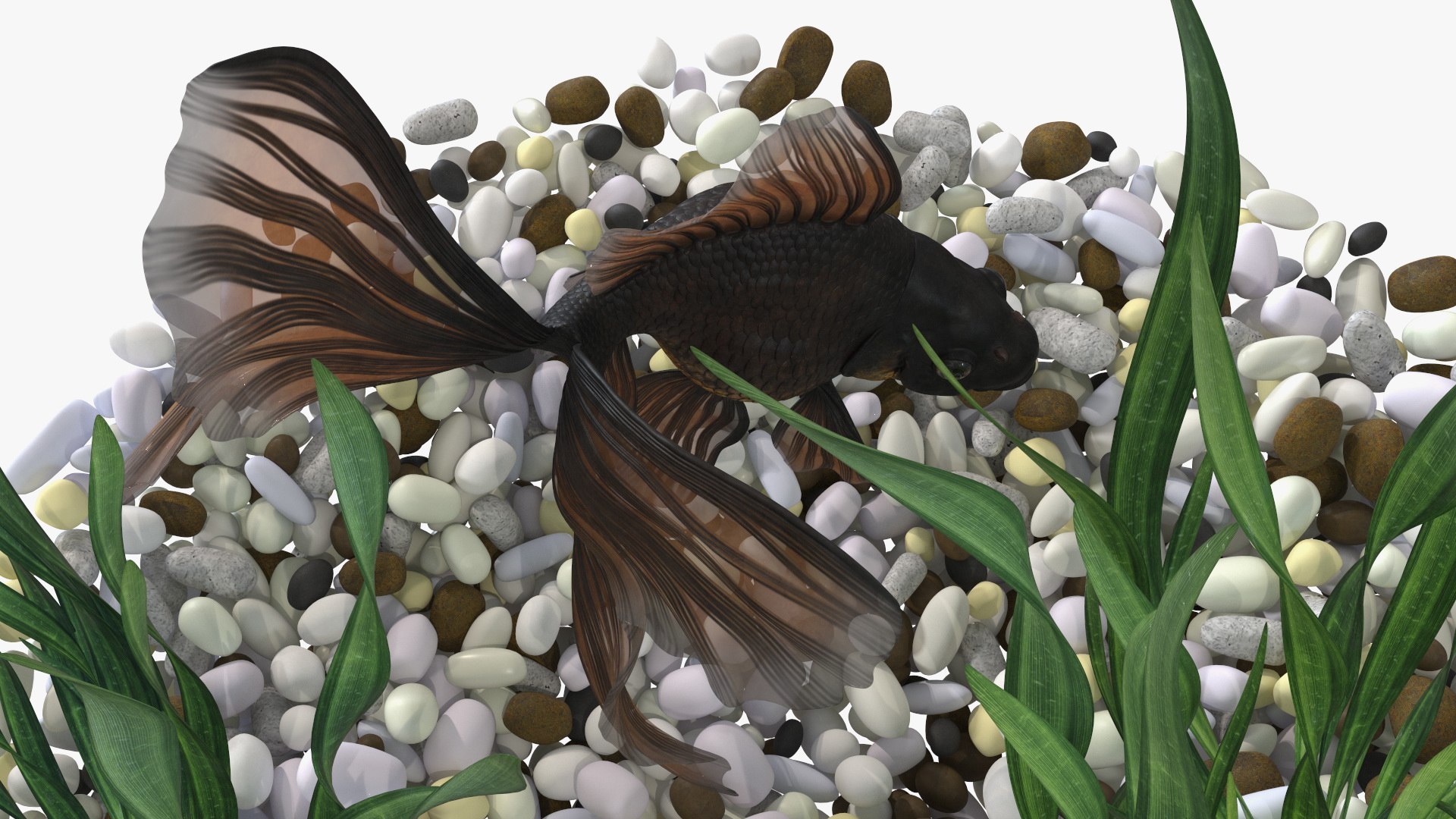 Round Aquariums with Fishes Collection 3D model https://p.turbosquid.com/ts-thumb/wl/FdCLDr/9I/roundaquariumswithfishescollectionmb3dmodel047/jpg/1699834003/1920x1080/fit_q87/c3d5c8f73805351ced58a99d349e5127fbfa920c/roundaquariumswithfishescollectionmb3dmodel047.jpg