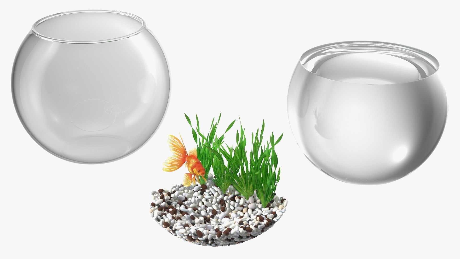 Round Aquariums with Fishes Collection 3D model https://p.turbosquid.com/ts-thumb/wl/FdCLDr/9q/roundaquariumswithfishescollectionmb3dmodel030/jpg/1699833932/1920x1080/fit_q87/3cc1a80d6fed23bb194bb0e5be1f64987c9e5b74/roundaquariumswithfishescollectionmb3dmodel030.jpg