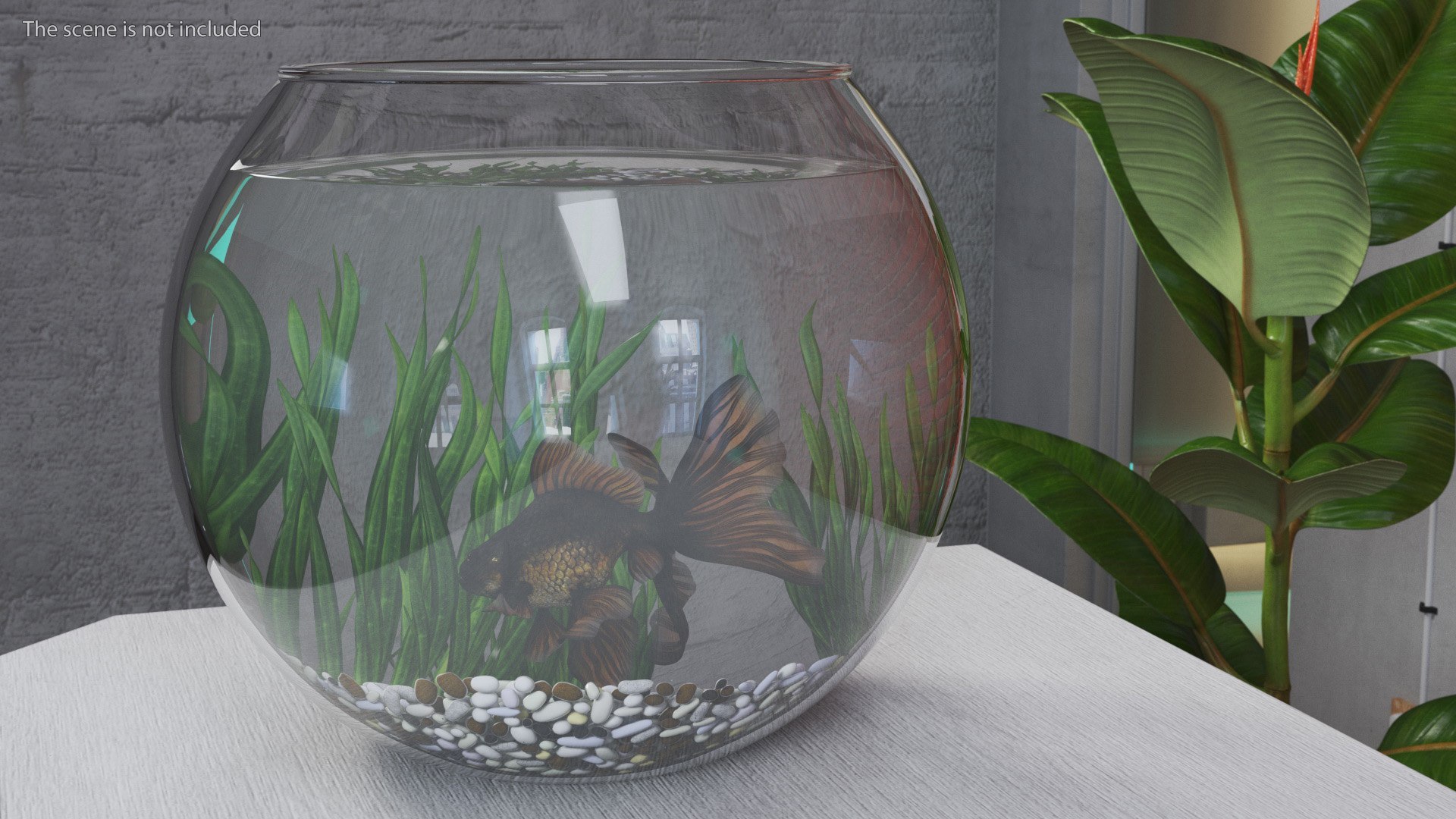 Round Aquariums with Fishes Collection 3D model https://p.turbosquid.com/ts-thumb/wl/FdCLDr/FO/roundaquariumswithfishescollectionmb3dmodel036/jpg/1699833956/1920x1080/fit_q87/726d73e469c1fb97069eaf454fa223bbda00bf39/roundaquariumswithfishescollectionmb3dmodel036.jpg