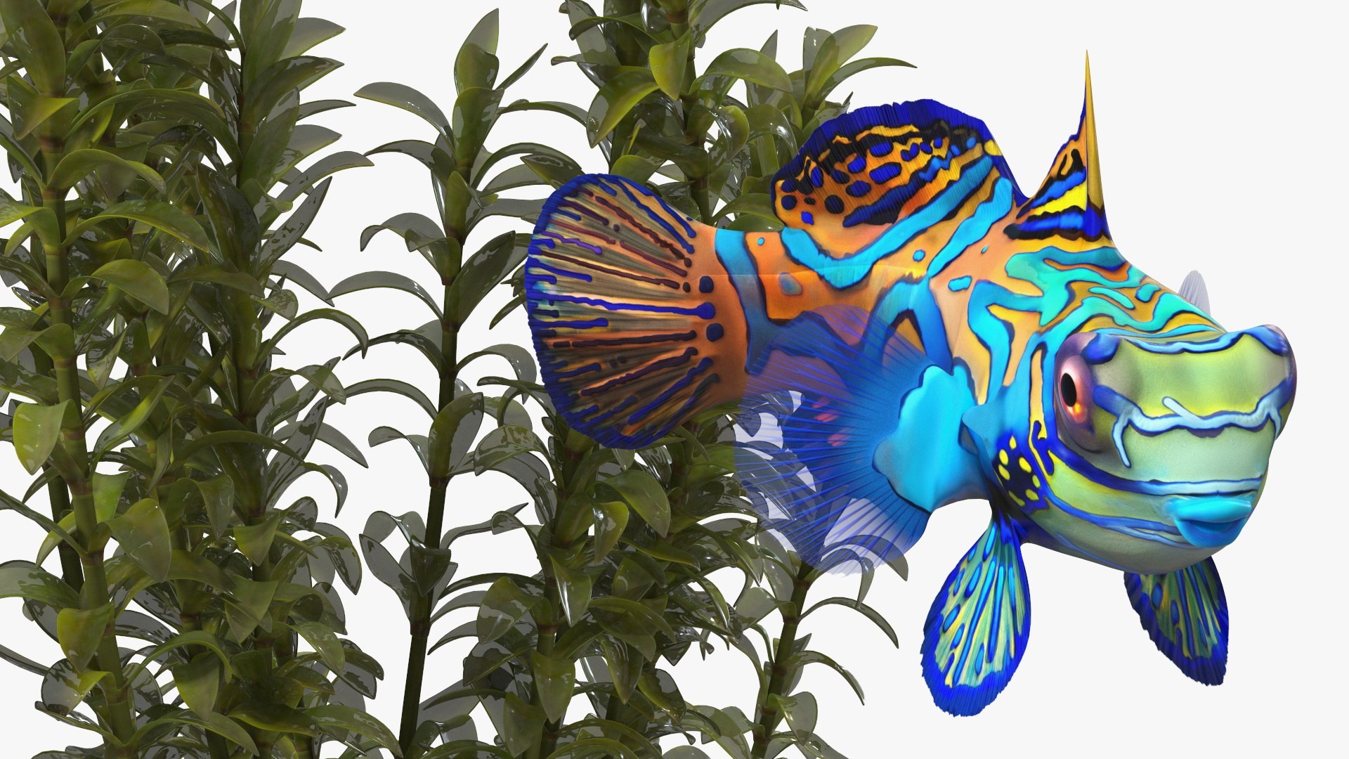 Round Aquariums with Fishes Collection 3D model https://p.turbosquid.com/ts-thumb/wl/FdCLDr/Hp/roundaquariumswithfishescollectionmb3dmodel017/jpg/1699833879/1920x1080/fit_q87/d67f69446ed3af2d24d1b70182d4a2752e9b3921/roundaquariumswithfishescollectionmb3dmodel017.jpg