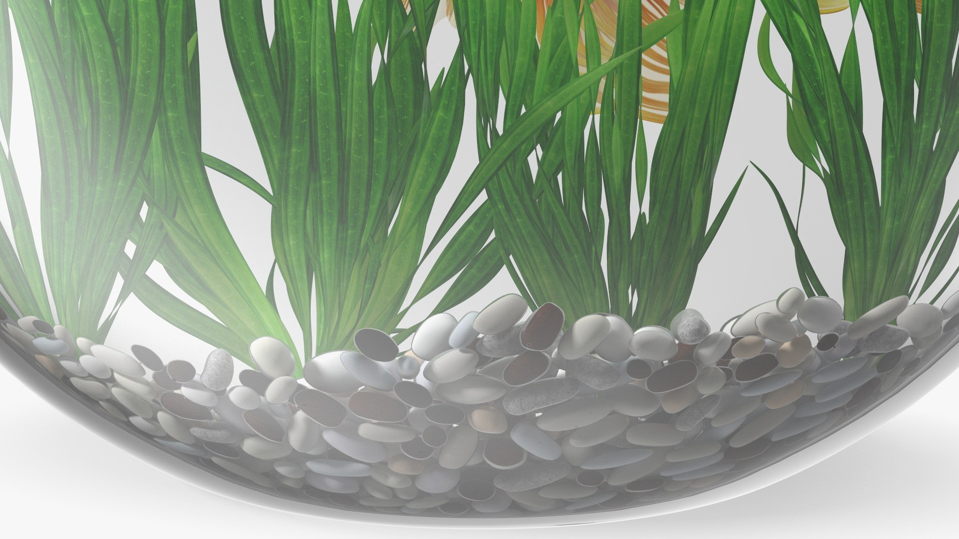 Round Aquariums with Fishes Collection 3D model https://p.turbosquid.com/ts-thumb/wl/FdCLDr/Ia/roundaquariumswithfishescollectionmb3dmodel029/jpg/1699833928/1920x1080/fit_q87/2c0b6f1f719236f2b46a1ece98ccd7082fc4058d/roundaquariumswithfishescollectionmb3dmodel029.jpg