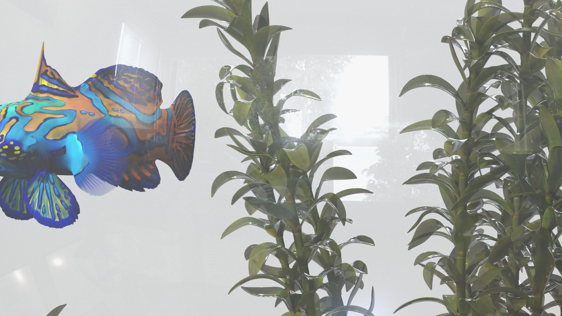 Round Aquariums with Fishes Collection 3D model https://p.turbosquid.com/ts-thumb/wl/FdCLDr/OR/roundaquariumswithfishescollectionmb3dmodel014/jpg/1699833865/1920x1080/fit_q87/a4aa6ac8206f4538ffb15e1b57dffad890787a97/roundaquariumswithfishescollectionmb3dmodel014.jpg
