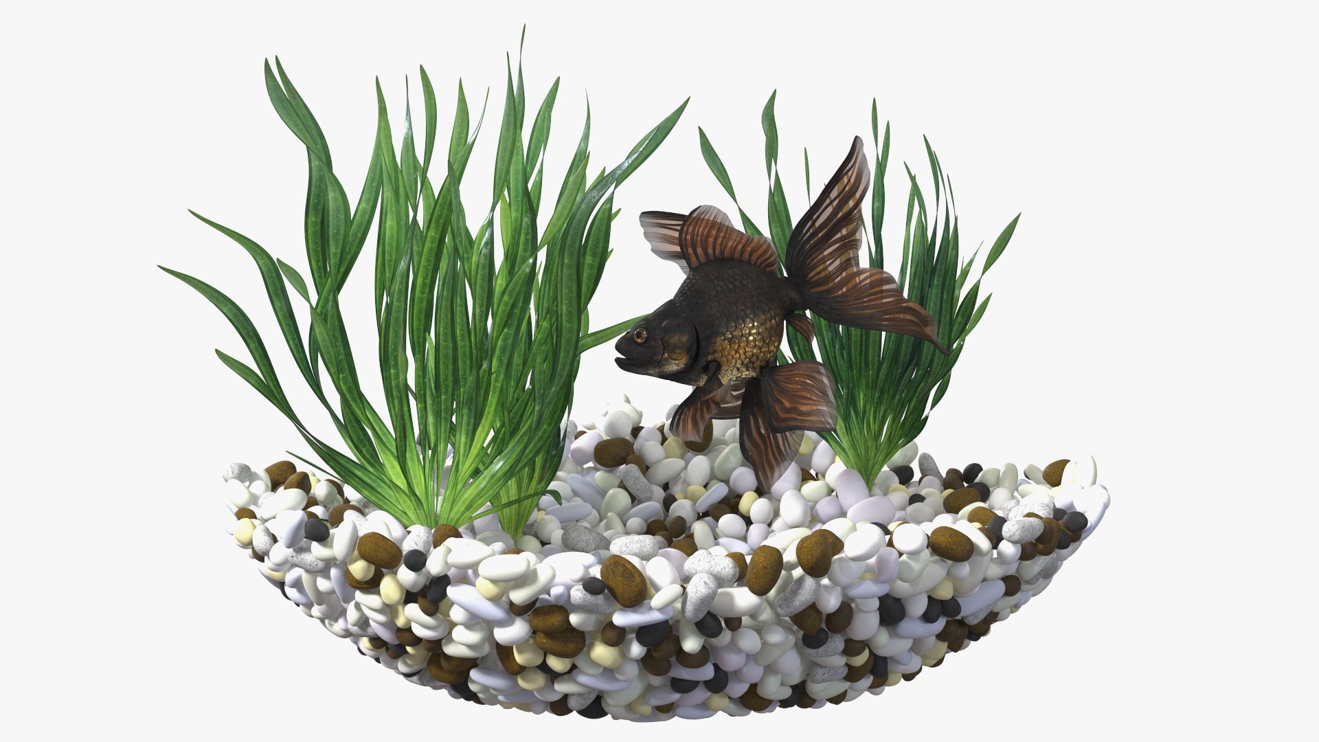 Round Aquariums with Fishes Collection 3D model https://p.turbosquid.com/ts-thumb/wl/FdCLDr/RM/roundaquariumswithfishescollectionmb3dmodel045/jpg/1699833993/1920x1080/fit_q87/ceff31426f74e3a498a15ee15480936a1f38aee7/roundaquariumswithfishescollectionmb3dmodel045.jpg