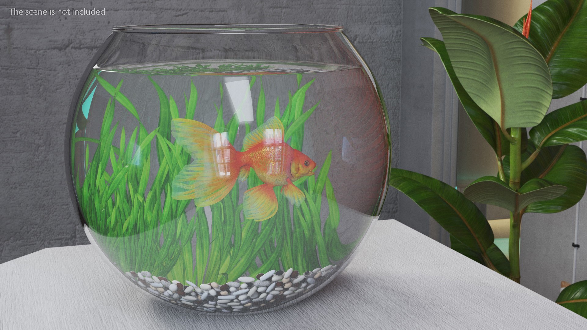 Round Aquariums with Fishes Collection 3D model https://p.turbosquid.com/ts-thumb/wl/FdCLDr/eI/roundaquariumswithfishescollectionmb3dmodel021/jpg/1699833897/1920x1080/fit_q87/5d0b76dd722df6a235d1fab643d6fd4d0cf0e246/roundaquariumswithfishescollectionmb3dmodel021.jpg