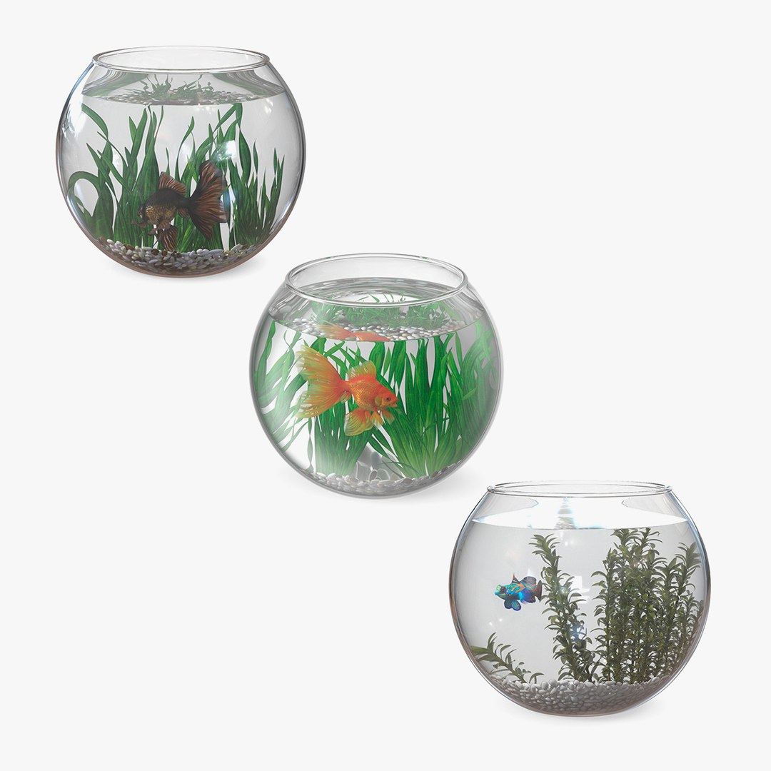 Round Aquariums with Fishes Collection 3D model preview