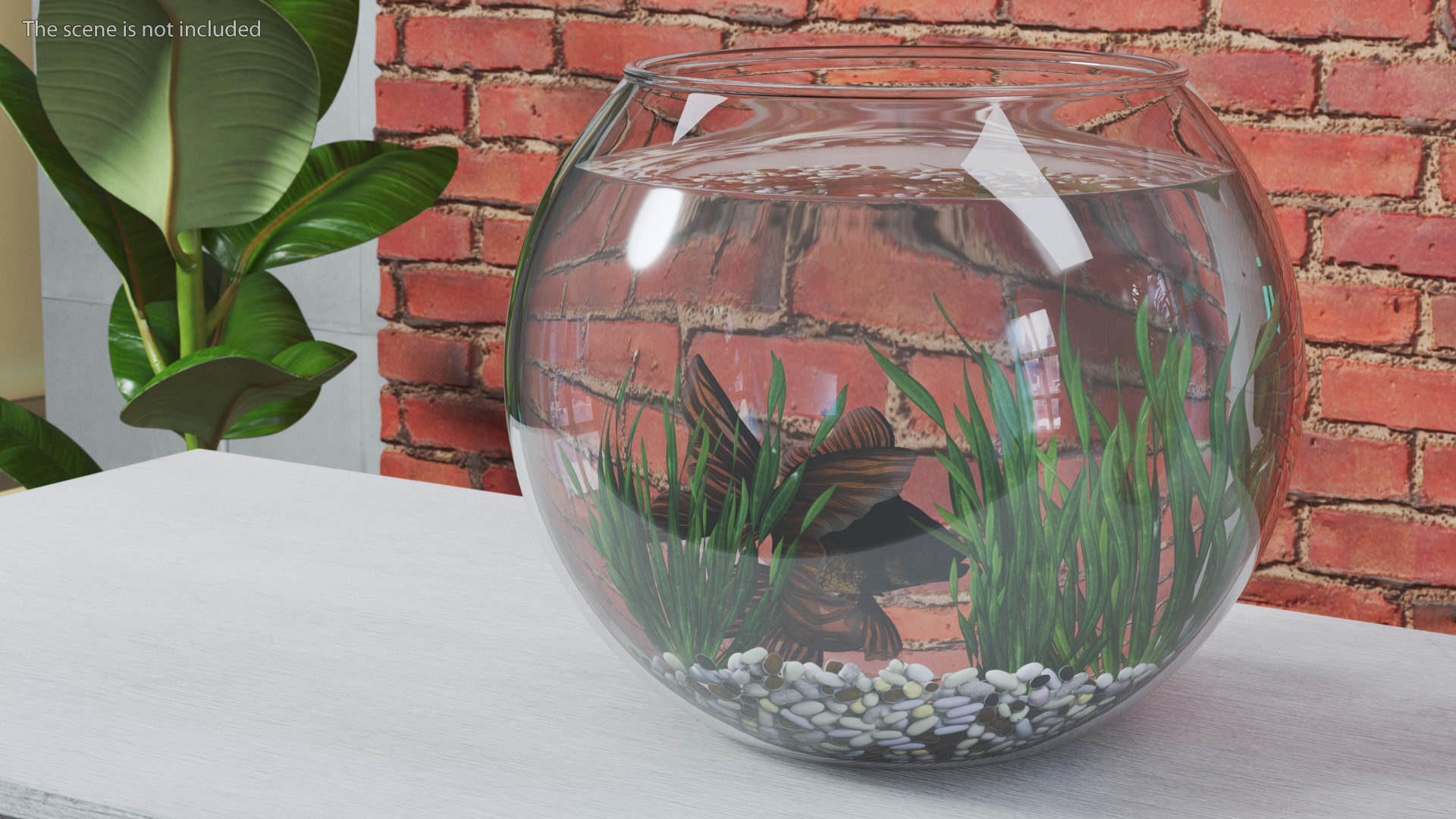 Round Aquariums with Fishes Collection 3D model https://p.turbosquid.com/ts-thumb/wl/FdCLDr/jt/roundaquariumswithfishescollectionmb3dmodel033/jpg/1699833944/1920x1080/fit_q87/42cfd14a27a34d2ffeb7529683b580476a4cbcff/roundaquariumswithfishescollectionmb3dmodel033.jpg