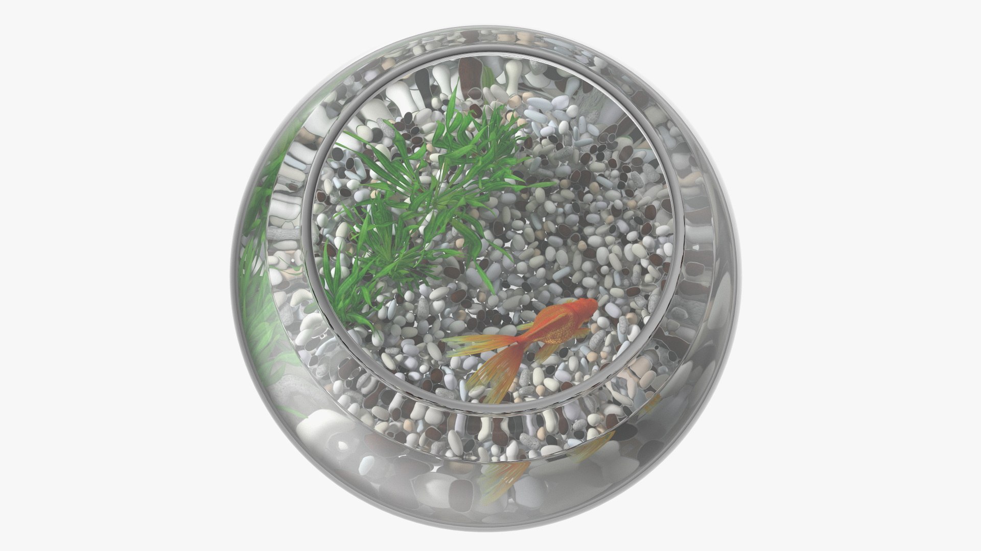 Round Aquariums with Fishes Collection 3D model https://p.turbosquid.com/ts-thumb/wl/FdCLDr/lw/roundaquariumswithfishescollectionmb3dmodel027/jpg/1699833920/1920x1080/fit_q87/006fbe08c18109d9896ef91b7a97e62d6c93159c/roundaquariumswithfishescollectionmb3dmodel027.jpg