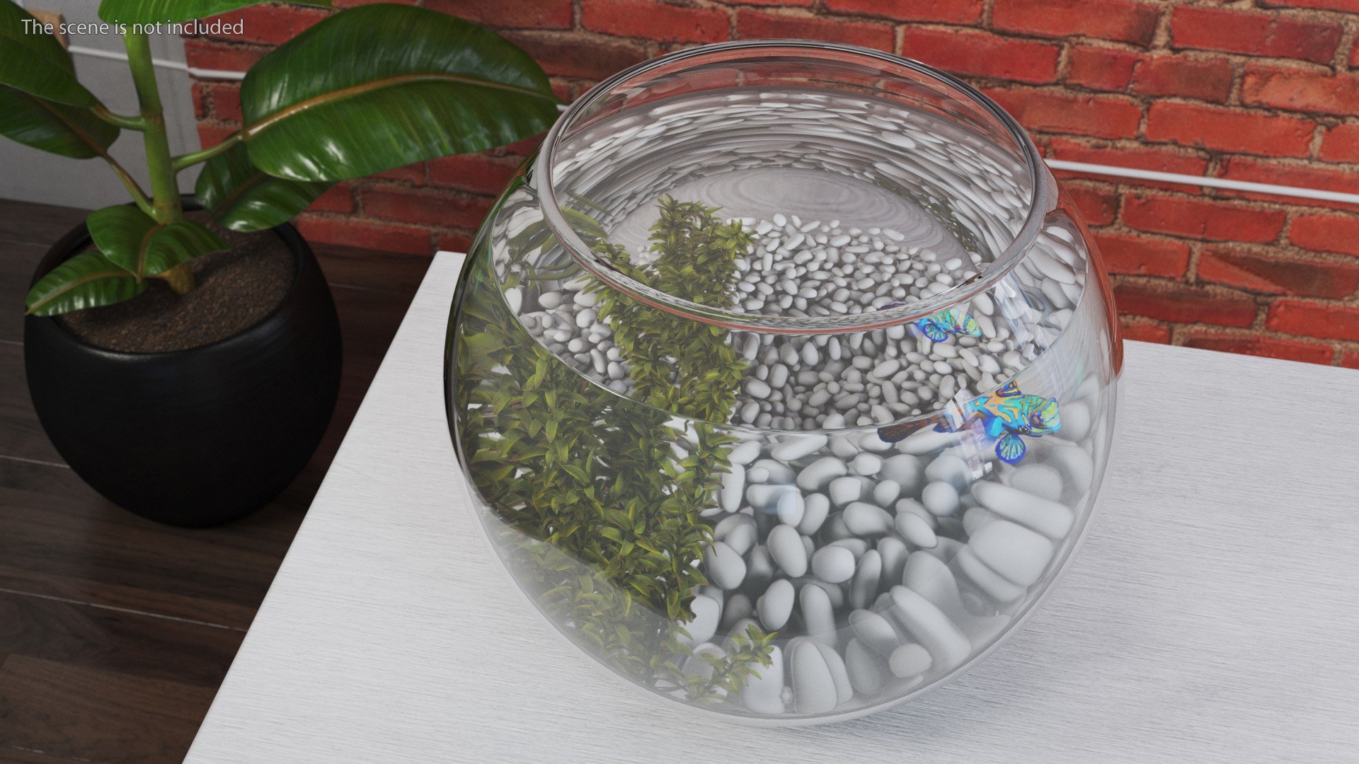 Round Aquariums with Fishes Collection 3D model https://p.turbosquid.com/ts-thumb/wl/FdCLDr/qF/roundaquariumswithfishescollectionmb3dmodel004/jpg/1699833826/1920x1080/fit_q87/4ce642929c50c97180522f4233b59cd4ef0748ca/roundaquariumswithfishescollectionmb3dmodel004.jpg