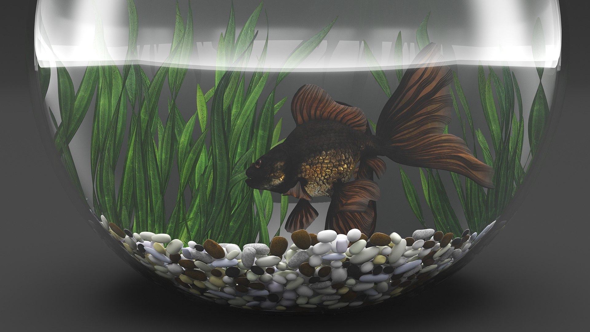 Round Aquariums with Fishes Collection 3D model https://p.turbosquid.com/ts-thumb/wl/FdCLDr/r6/roundaquariumswithfishescollectionmb3dmodel038/jpg/1699833965/1920x1080/fit_q87/f6a95f9c7f5d6da707ad5da4e1c356d3d175e409/roundaquariumswithfishescollectionmb3dmodel038.jpg