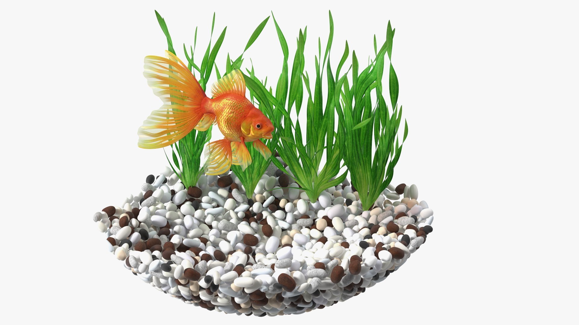 Round Aquariums with Fishes Collection 3D model https://p.turbosquid.com/ts-thumb/wl/FdCLDr/tB/roundaquariumswithfishescollectionmb3dmodel031/jpg/1699833936/1920x1080/fit_q87/c2f81225db228d6364b6d41f9542d5823819d5f0/roundaquariumswithfishescollectionmb3dmodel031.jpg